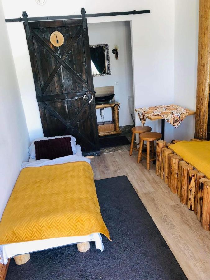 Rochowa Buznica Zakopane Extérieur photo